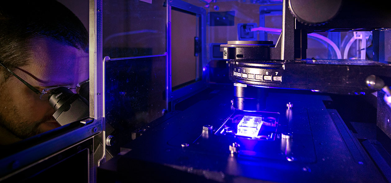 At the Biozentrum, biomarkers are identified that map the patient-specific behavior of individual germs in the laboratory. With the help of these biomarkers, human tissue culture models are developed that realistically reproduce the infection process in the patient's laboratory.